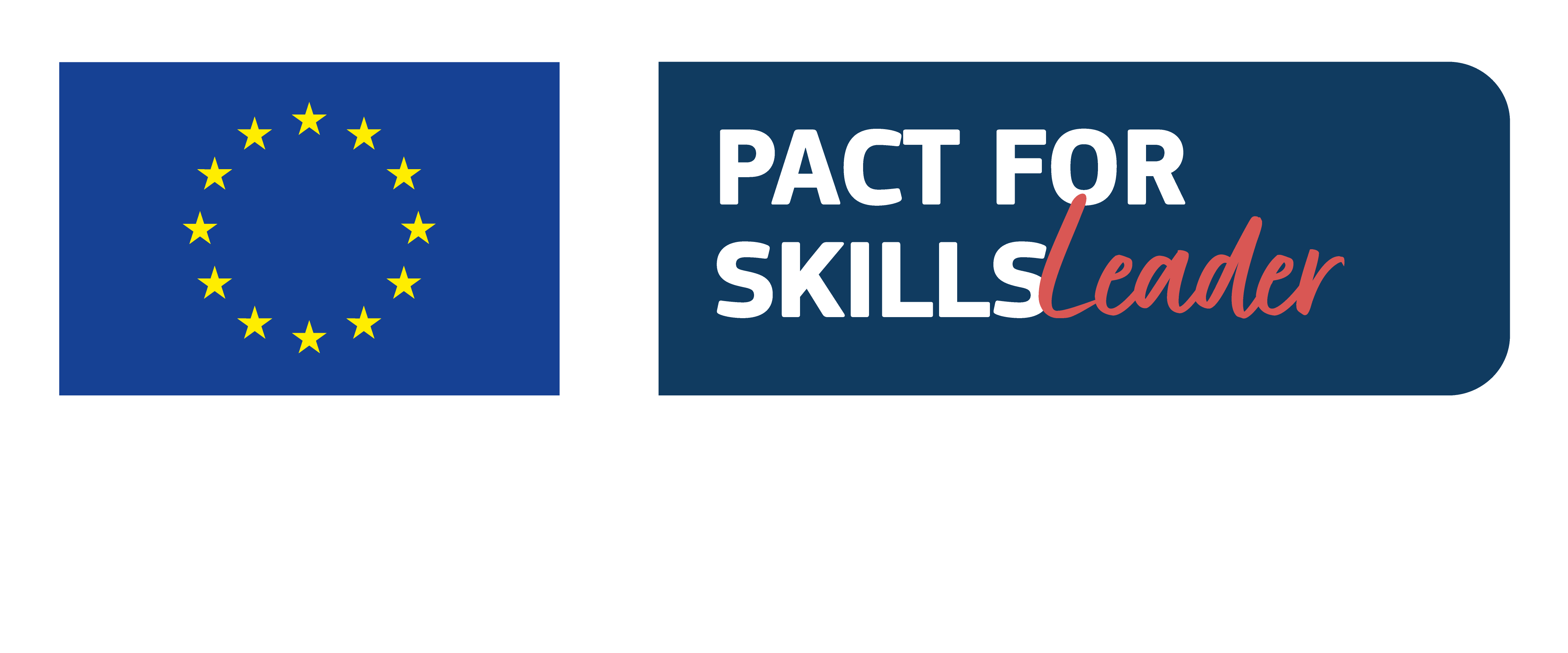 Pact for Skills Leader